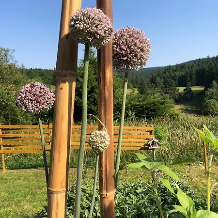 Poz-zen Tarentaise